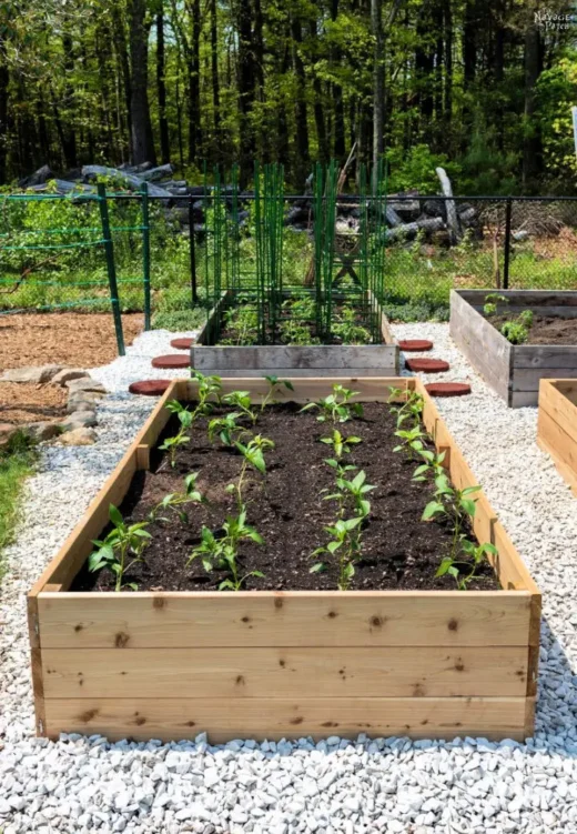Allotment DIY Projects How to Build Raised Garden Beds for Your Plot