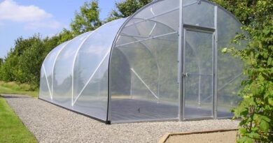 Polytunnel