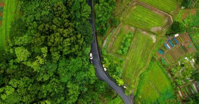 aerial footage of green fields and road