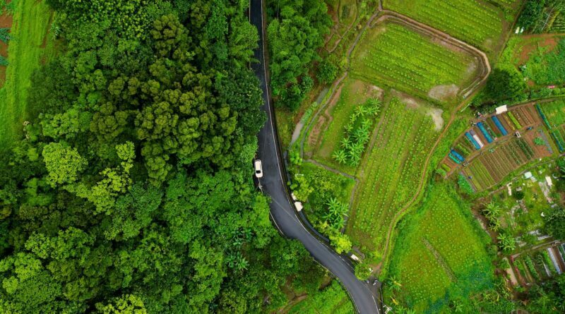 aerial footage of green fields and road