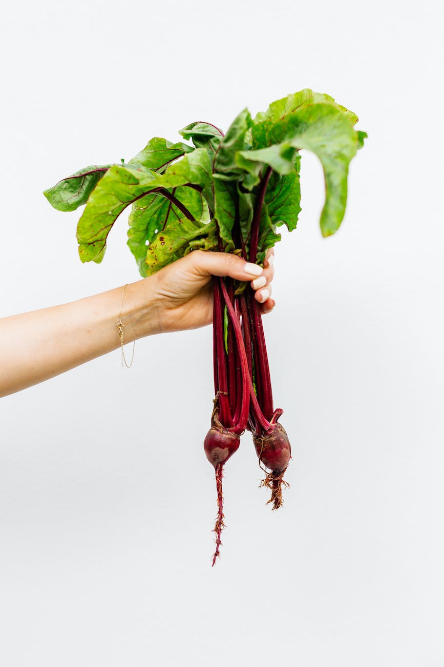 a person holding beetroot plant