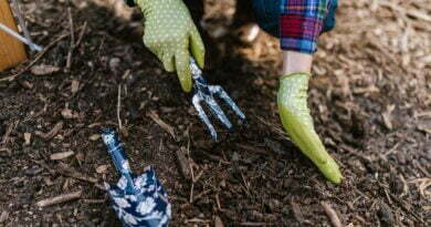 person wearing green gloves holding garden tools