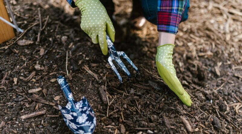 person wearing green gloves holding garden tools