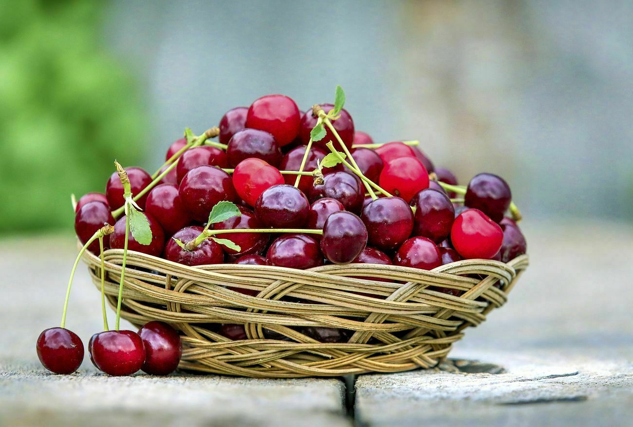 Basket full of cherries