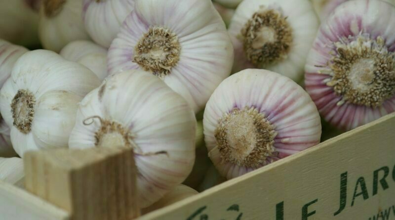 Fresh garlic, farm produce