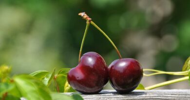 close up photography of a red cherry fruit