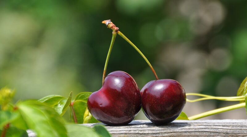 close up photography of a red cherry fruit