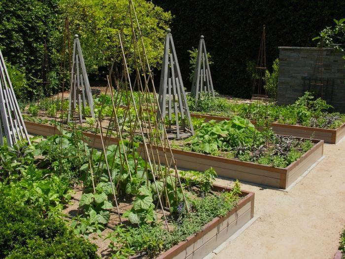 garden beds