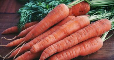 close up photography of orange carrots