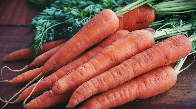 close up photography of orange carrots