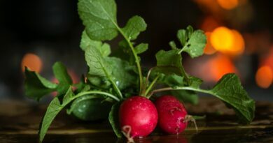 close up photo of radishes