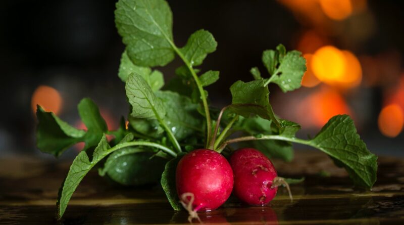 close up photo of radishes