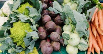 assorted fresh ripe vegetables in market stall