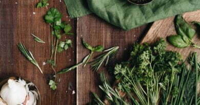 close up photo of green herbs