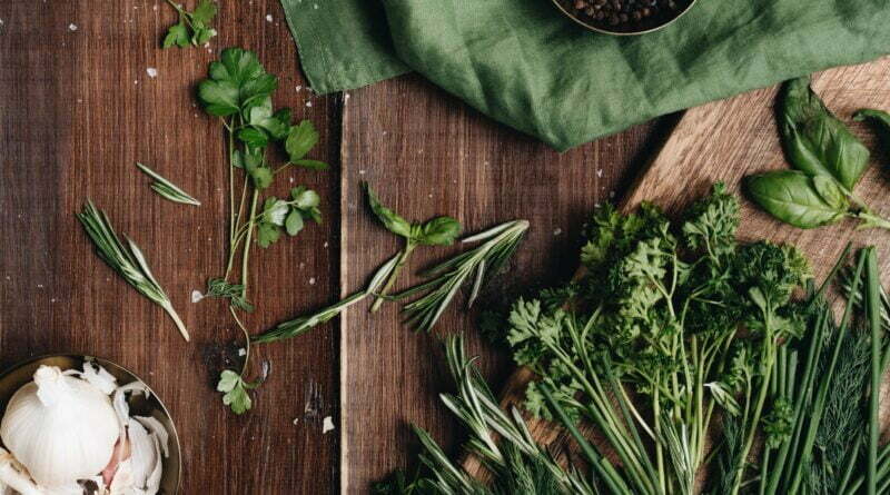 close up photo of green herbs