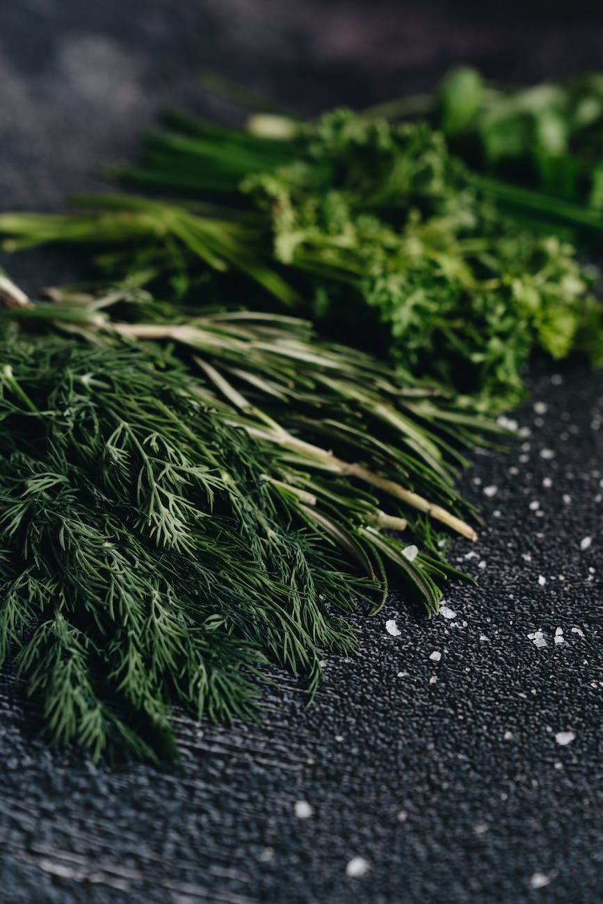 close up photo of assorted herbs