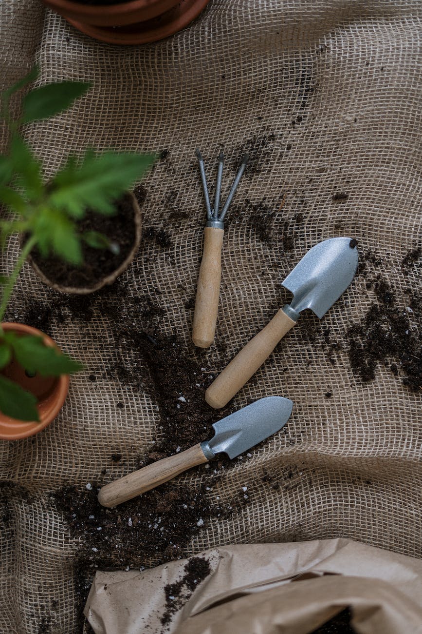 top view photo of gardening tools