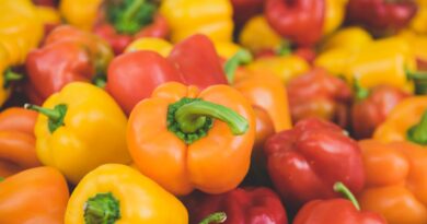 assorted bell peppers