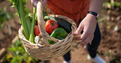 person holding brown woven basket with red and green vegetable