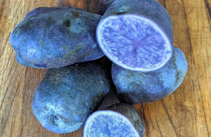 Blue potatoe