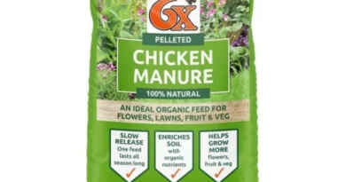 Chicken Manure