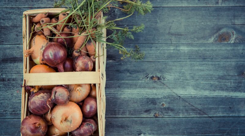 vegetables harvest fresh basket