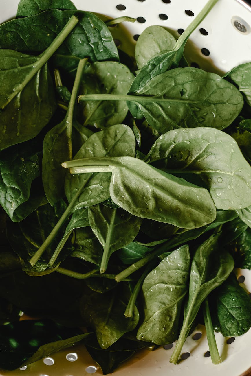 green leaves with water droplets in the strainer