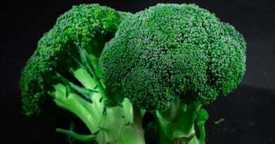 green broccoli in close up photography