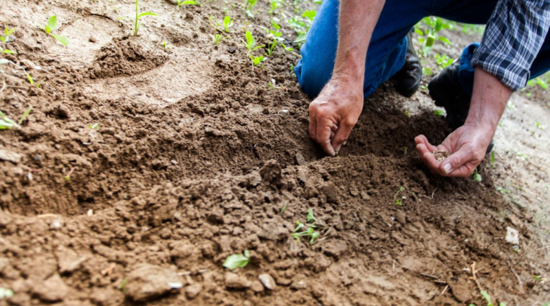 March Allotment Tasks