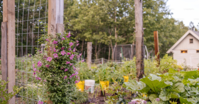 May Allotment