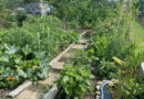 July Allotment Guide